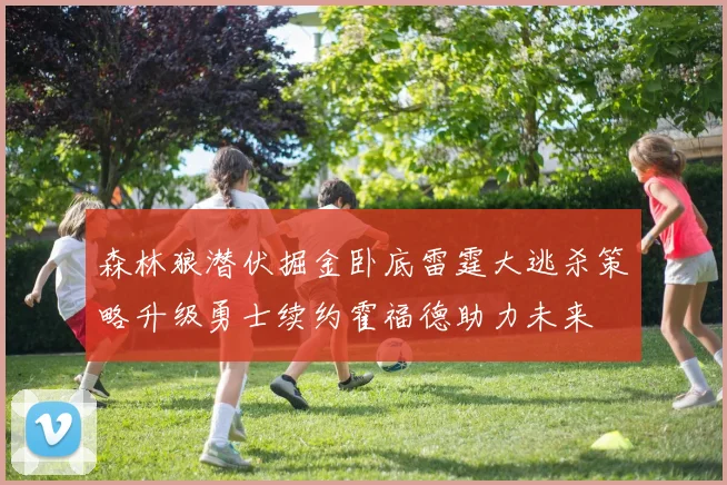 森林狼潜伏掘金卧底雷霆大逃杀策略升级勇士续约霍福德助力未来